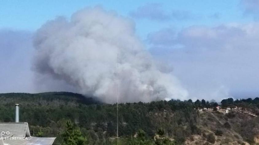 Incendio forestal afecta el interior de bosque en Laguna Verde en Valparaíso