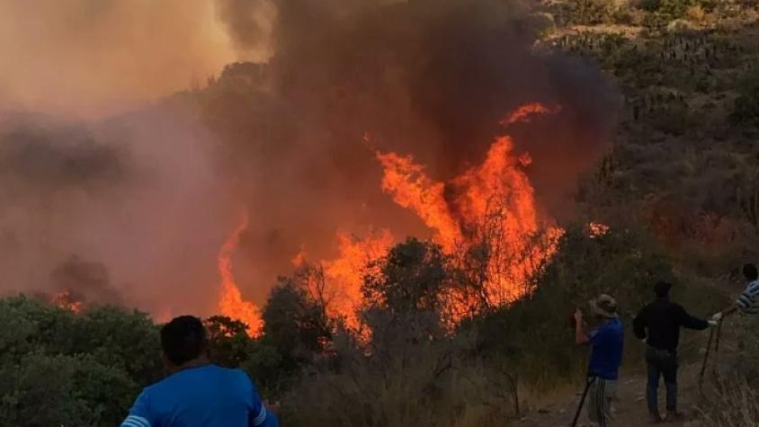 Senapred ordena evacuar sector de Tiltil por incendio forestal