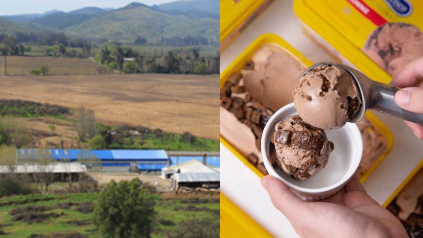 Cierra fábrica de helados en Loncomilla: Será trasladada a San Bernardo