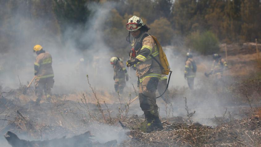 Declaran alerta roja en Collipulli por incendio forestal: amenaza área silvestre protegida