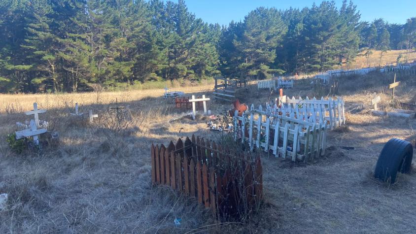 Decretan arraigo nacional para madre acusada de enterrar a bebé en cementerio de mascotas de Talcahuano