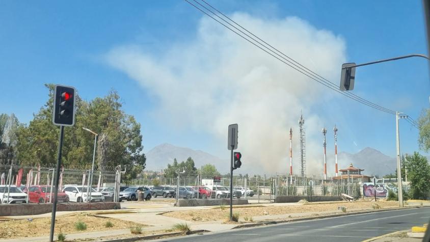 Incendio forestal se registra en Puente Alto