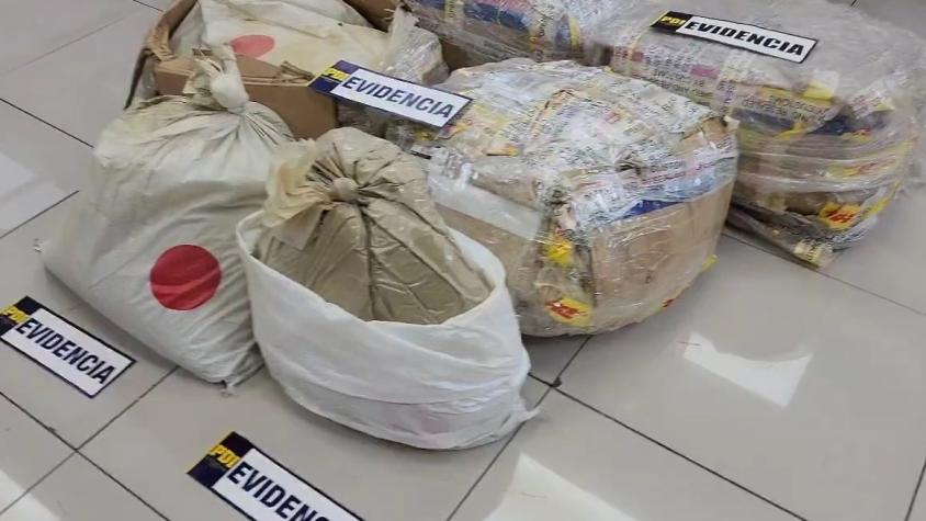 Sujetos intentaron ingresar al país más de 260 kilos de kratom: fueron detenidos por la PDI