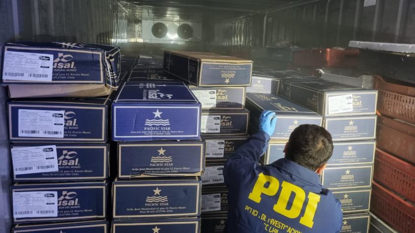 "Operación Santo Salmón": PDI recuperó pescado de exportación robado que se vendería en Semana Santa