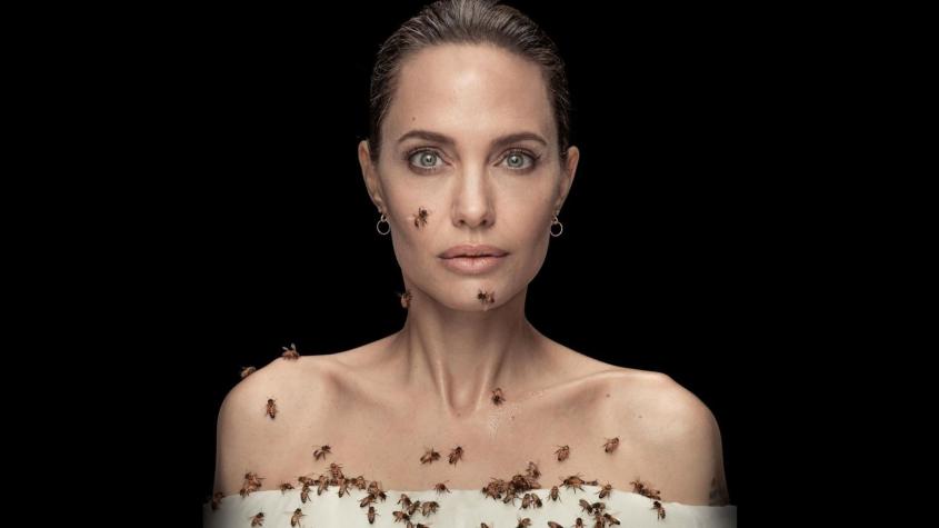 La curiosa condición que Angelina Jolie cumplió para posar con miles de abejas