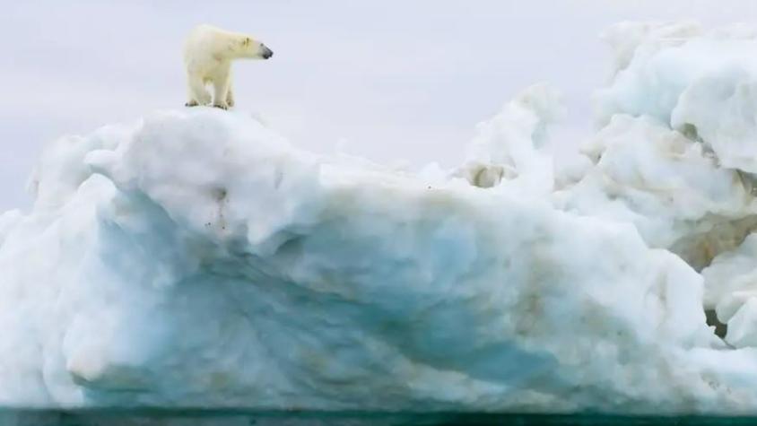 El Ártico podría quedarse sin hielo dentro de unos diez años