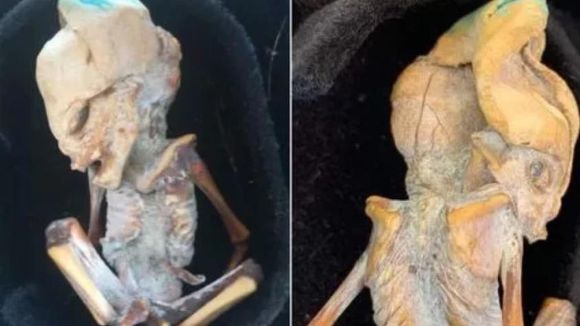 Encuentran supuesto cadáver de extraterrestre en Colombia