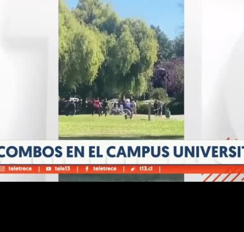 Pelea en campus universitario de Concepción: Sujetos no eran alumnos 