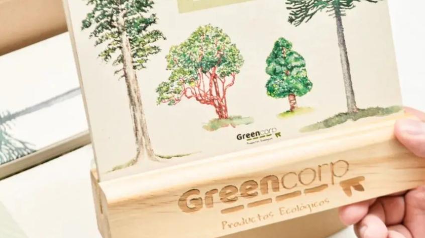 Cadena de Emprendedores: La papelería sustentable de Green Corp 