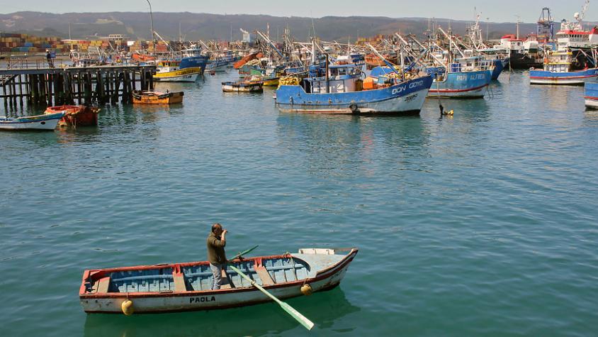 Comisión aprueba en general, por unanimidad, una nueva Ley de Pesca Comisión aprueba en general, por unanimidad, una nueva Ley de Pesca