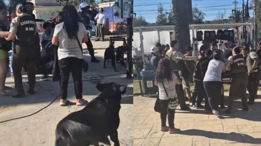 Un adulto y cuatro menores detenidos tras violenta pelea en plaza de Villa Alemana