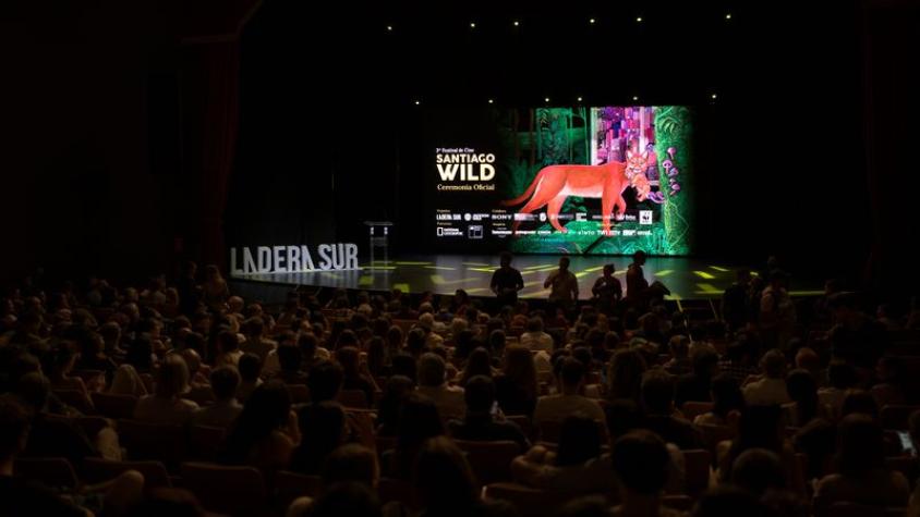 Santiago Wild 2024: vuelve la aventura cinematográfica de vida salvaje y medio ambiente de manera presencial y gratis a través de streaming