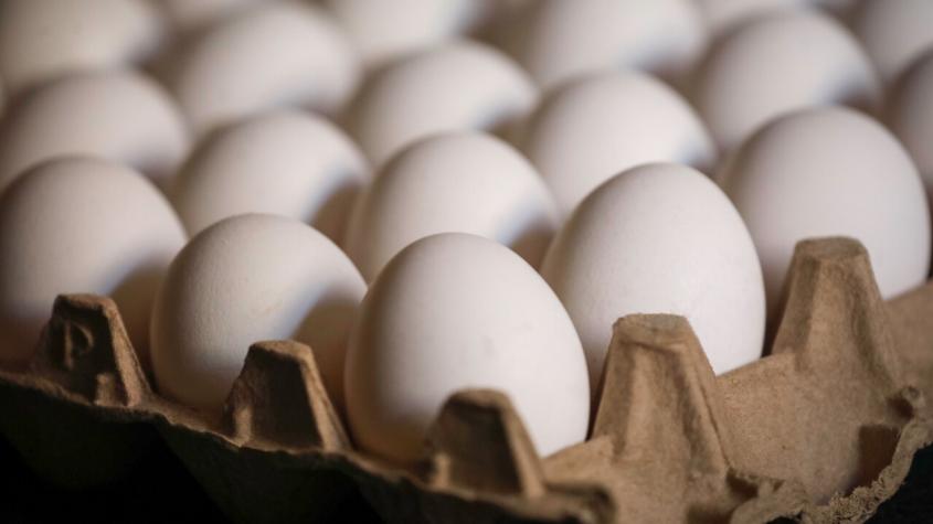 Sube el precio del huevo: La bandeja supera los 8 mil pesos 