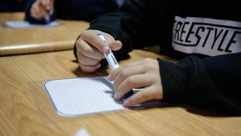 Mineduc fiscalizará recintos irregulares donde se imparten clases para exámenes libres ante falta de matrículas