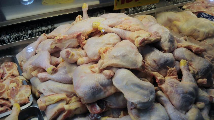 Supermercado sumergía pollos en cloro: ¿Qué pasó con los más de mil kilos de carne descompuesta en Romeral?