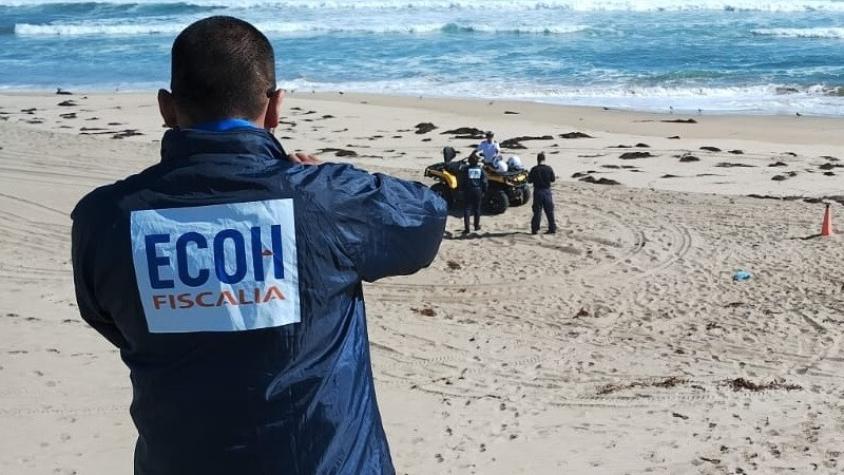 Hallan cadáver de hombre en playa de Los Vilos: Investigan causa de muerte