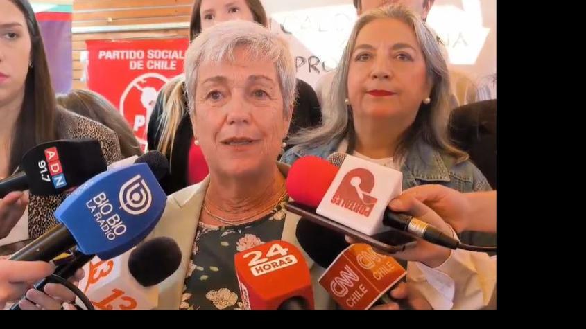 PPD oficializa a Josefa Errázuriz como su precandidata por la Alcaldía de Providencia 