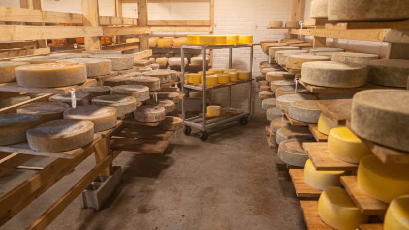 EE. UU. advierte a Chile que entregar monopolio de nombres de quesos a la Unión Europea tendrá consecuencias
