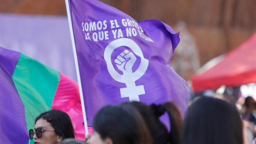 TC rechaza requerimiento de la oposición por ley integral contra la violencia hacia las mujeres