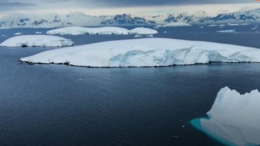 “Al final vamos a perder el planeta”: Científicos despejan dudas sobre la Antártida