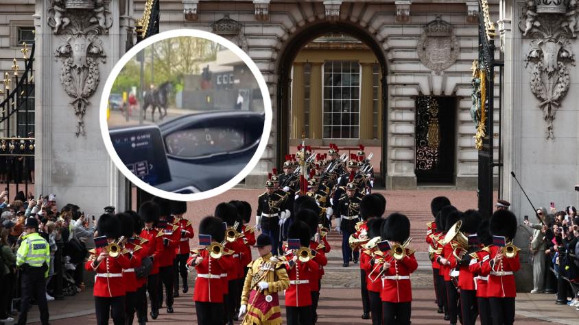 Caballos del ejército británico escapan y desatan un caos cerca del palacio de Buckingham, en Londres
