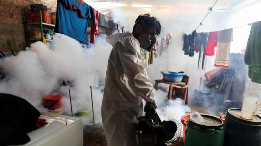 Muertes por dengue se triplican en Perú