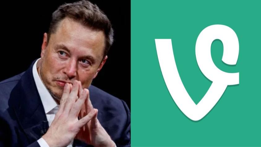 Elon Musk da indicios de que la red social Vine podría regresar