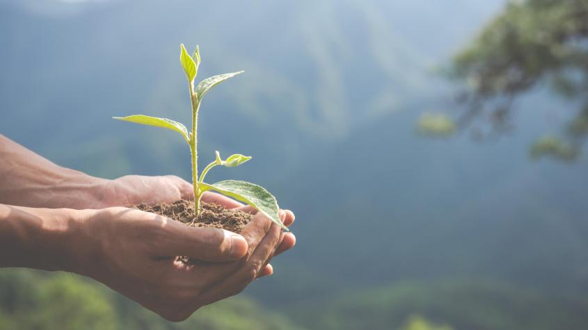 Día de la Tierra: ¿Cuál es el origen y por qué se celebra?