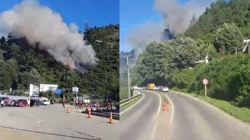 Alerta roja por incendio forestal en Valdivia: Fuego inició por una bengala lanzada por pescadores 