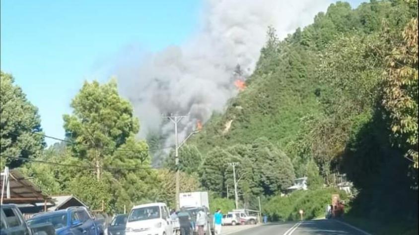 Senapred declara Alerta Roja por incendio forestal en Valdivia