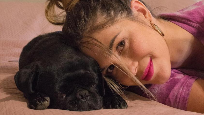 La crítica que hizo Laura Prieto tras la trágica muerte de su mascota: "El dolor que siento es desgarrador"