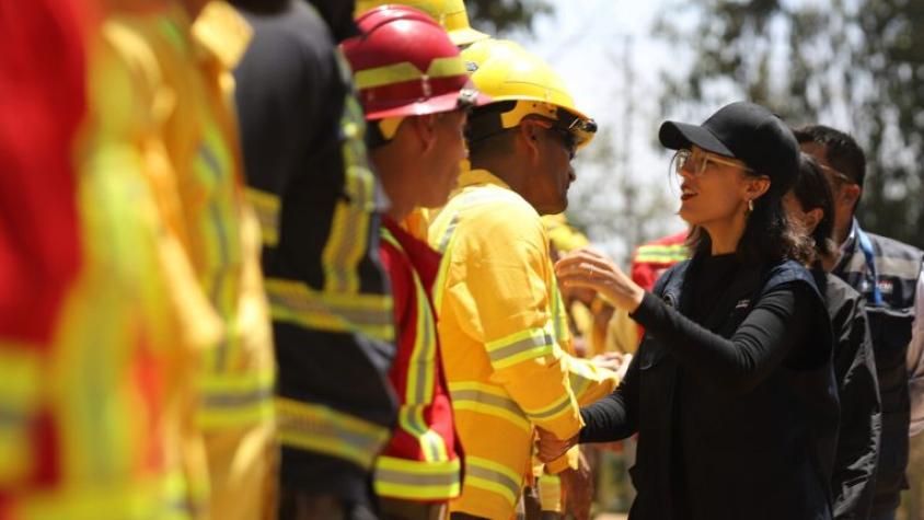 ¿Qué hizo Vallejo como ministra de enlace en los incendios de Valparaíso antes de desaparecer sin aviso?