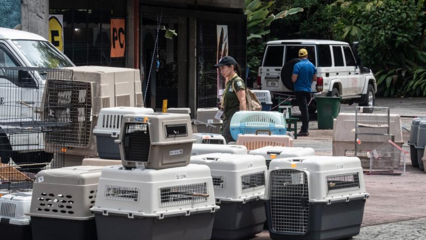 Costa Rica se convierte en el primer país en cerrar zoológicos estatales: Más de 300 animales fueron trasladados a refugios