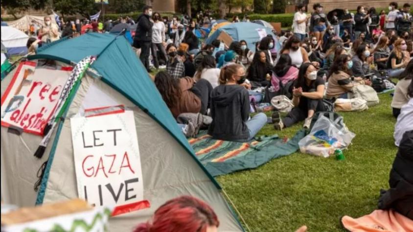 8 claves para entender las protestas en las universidades de EE.UU. y sus implicancias