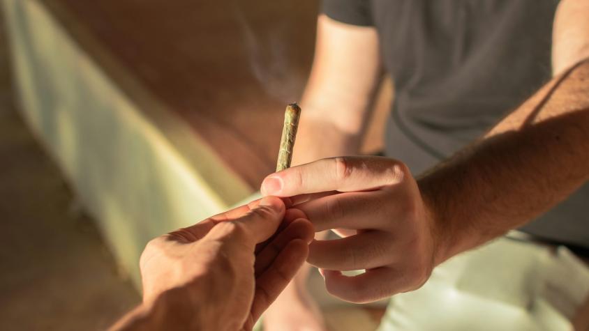 El cannabis cada vez es más potente: ¿qué consecuencias tiene en la salud de los jóvenes?
