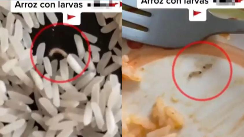 Larvas en paquetes de arroz: ¿Qué pasa si me las como y cómo evitarlas? 