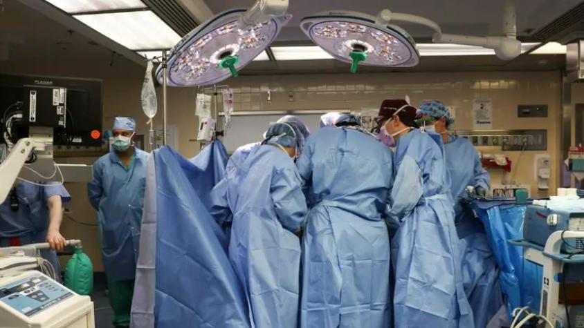 Fallece primer paciente que recibió trasplante de riñón de cerdo