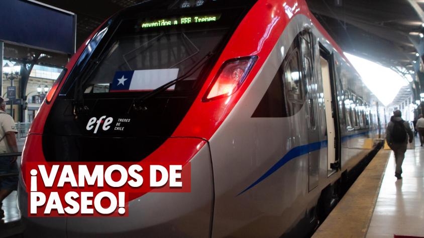 Hay viajes rápidos y nocturnos: todos los destinos a los que se puede llegar en tren (y sus precios)