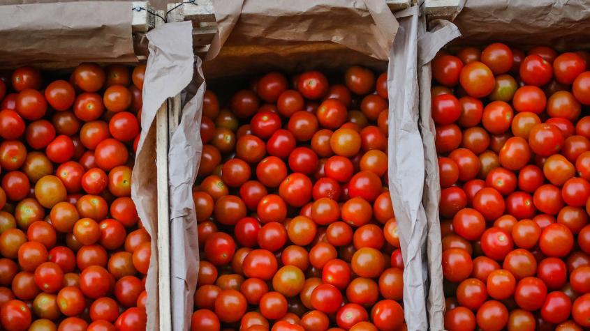 Hasta $2.500 podría costar el kilo de tomate tras lluvias