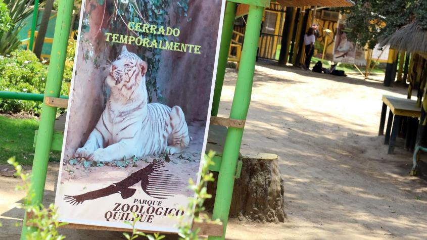 Ataque de perros "salvajes" deja 23 animales muertos en zoológico de Quilpué