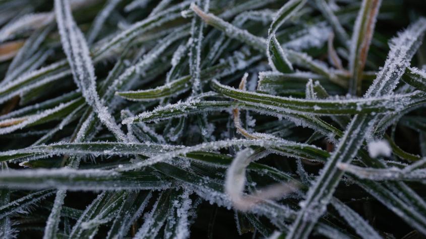 El invierno llegó con todo: Se registró nuevo récord de temperatura mínima en Punta Arenas