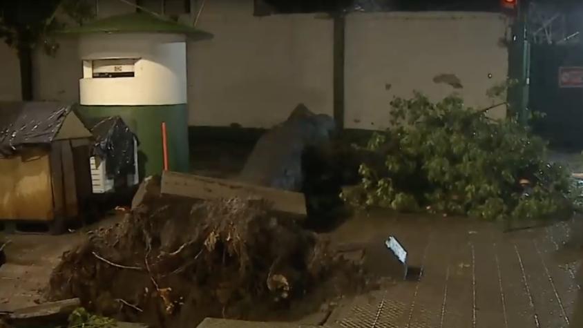 A centímetros de unas casas de perros: Árbol cae sobre moto en Santiago