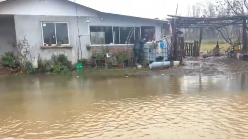Alerta Roja en Linares por precipitaciones: casas están en peligro por desborde de río