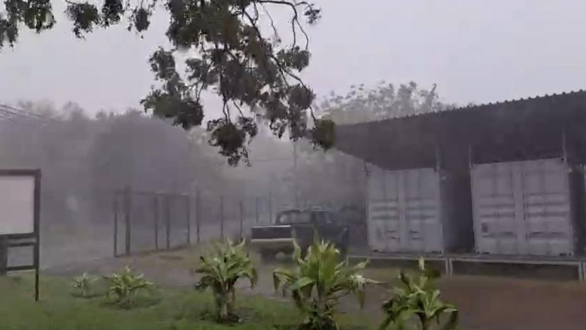 Videos muestran cómo fue la llegada del ciclón a Rapa Nui 