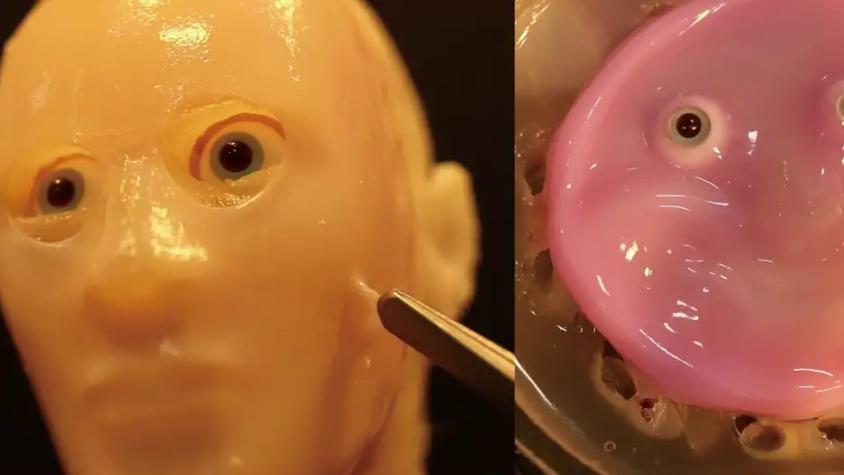 Crean "piel viva" que se regenera y da inquietante apariencia realista a los robots humanoides