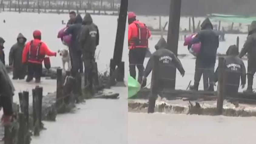 Carabineros rescata a familias tras desborde de río en Arauco: También evacuaron mascotas