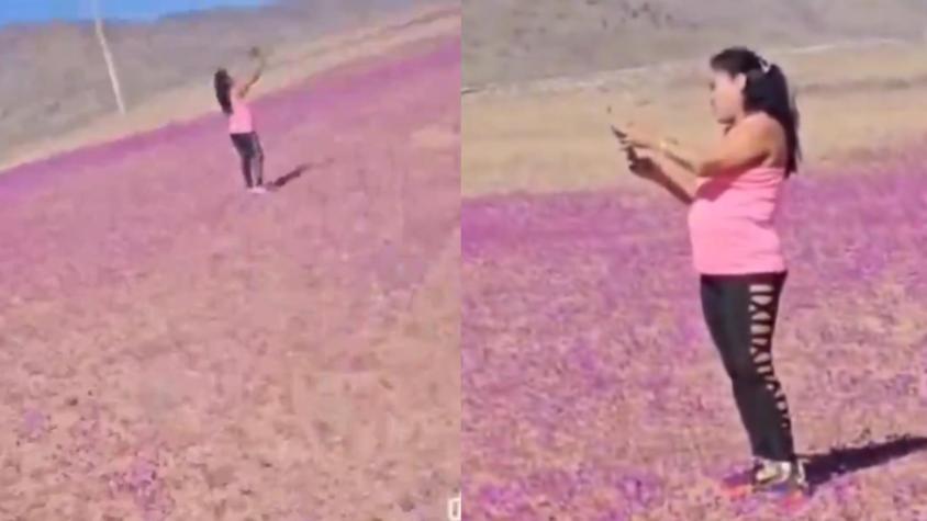 “¡Salga de ahí!”: Indignación en redes por mujer que pisó flores del Desierto Florido para sacarse una foto
