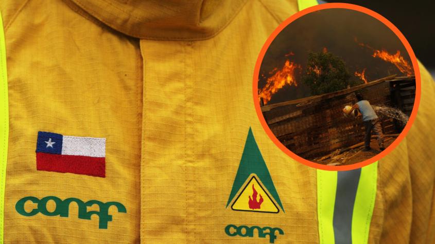 Exclusivo T13 | Comisión por megaincendios en Valparaíso: Preinforme advierte “negligencias graves” de Conaf y ocultamiento de información de Senapred