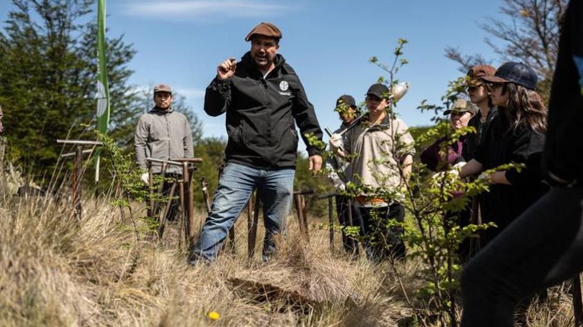 Fundación Reforestemos abre postulación para voluntariado en la Patagonia