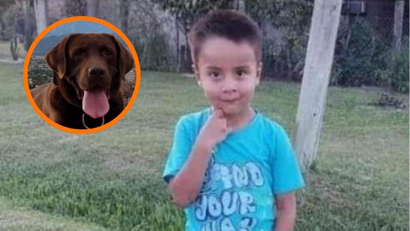 Caso Loan: Muere Nerón, uno de los perros que participó en la búsqueda del niño